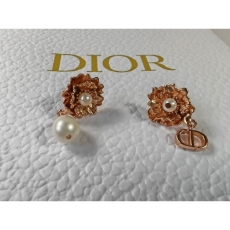 Christian Dior Earrings